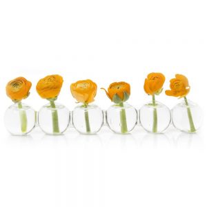 best vases for sunflowers