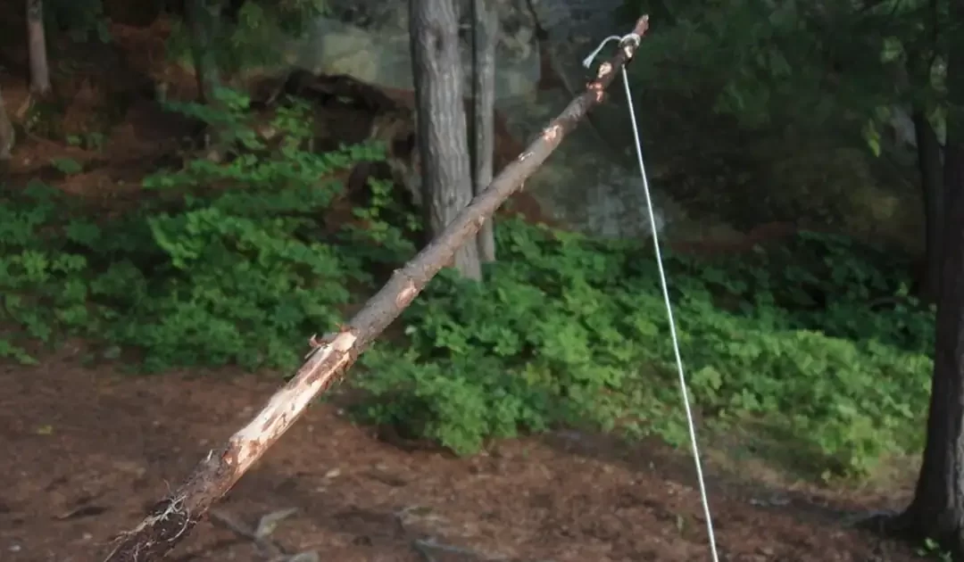 How To Make A Fishing Rod From A Stick