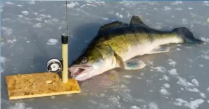 best ice fishing rod for walleye