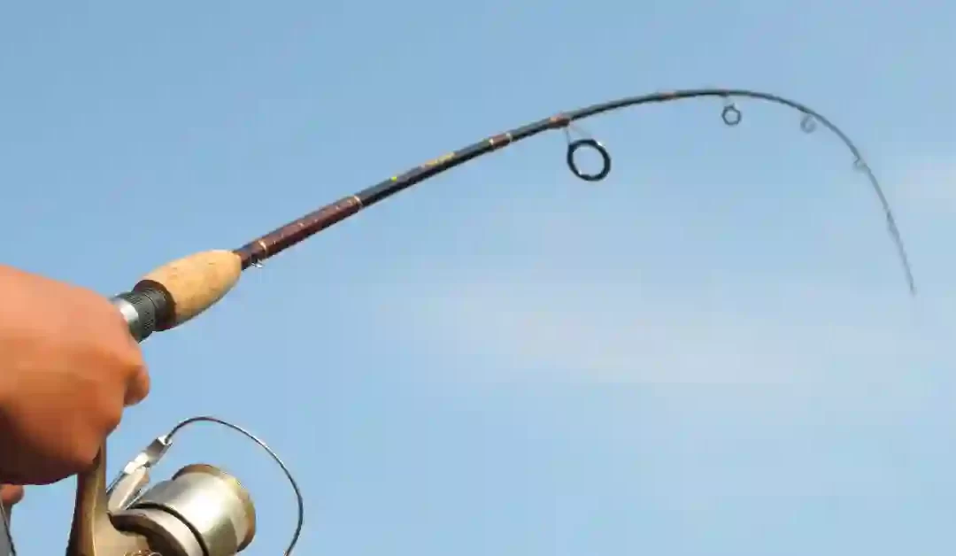What Does Power Mean on a Fishing Rod? An Ultimate Guide